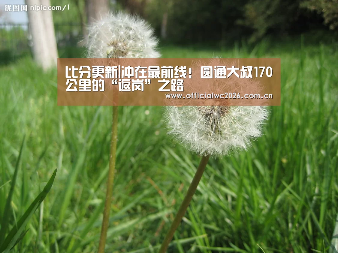 赛事数据