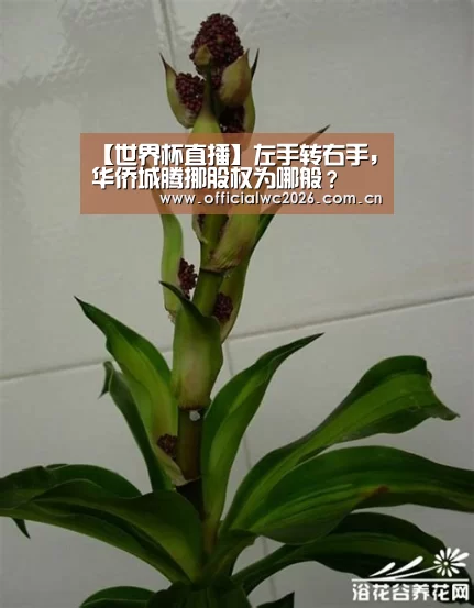 【世界杯直播】左手转右手,华侨城腾挪股权为哪般?(图1) 比分更新