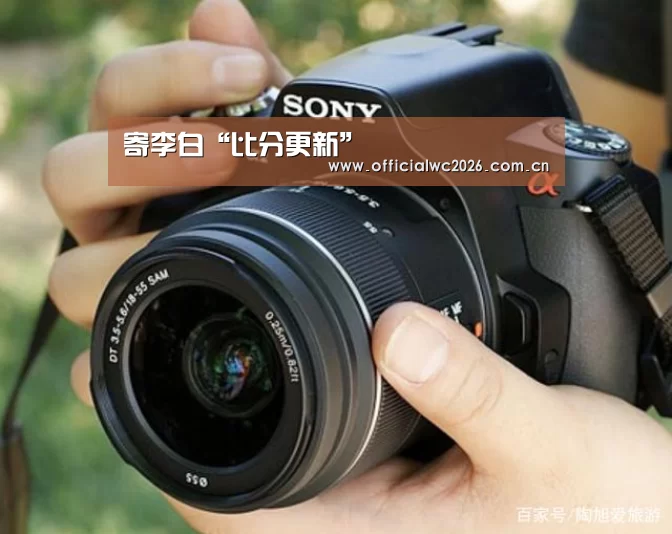 寄李白“比分更新”(图2) 赛事数据