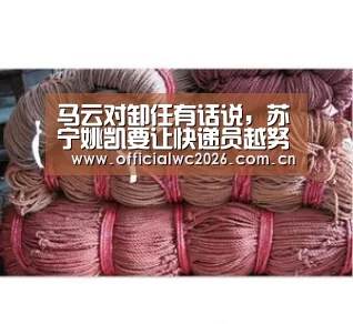比分更新