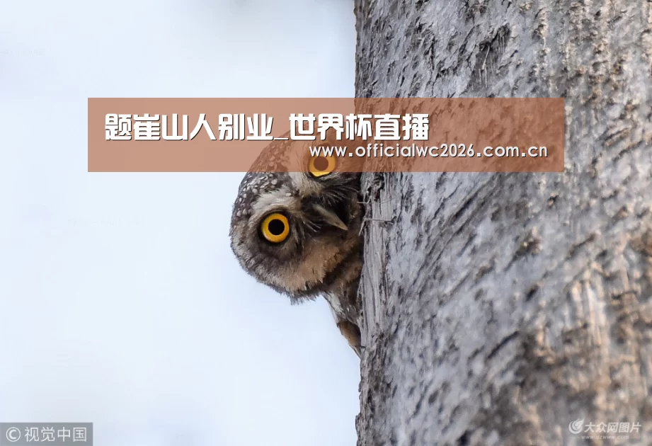 题崔山人别业_世界杯直播(图2) 赛事数据