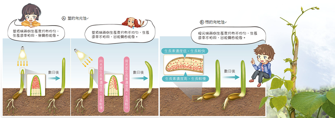 赛事数据