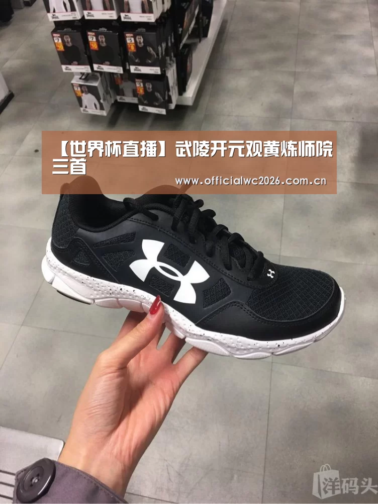 【世界杯直播】武陵开元观黄炼师院三首(图3) 赛事数据
