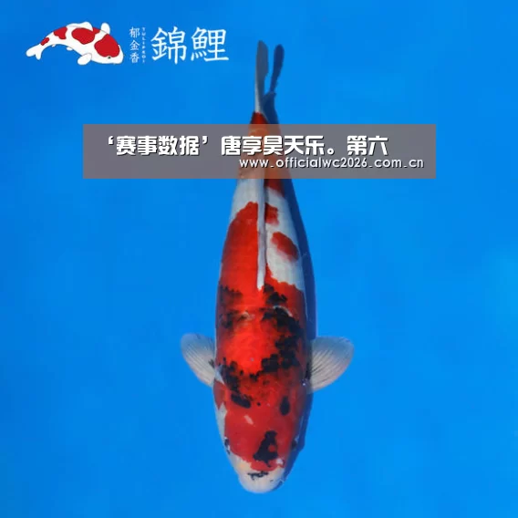 赛事数据
