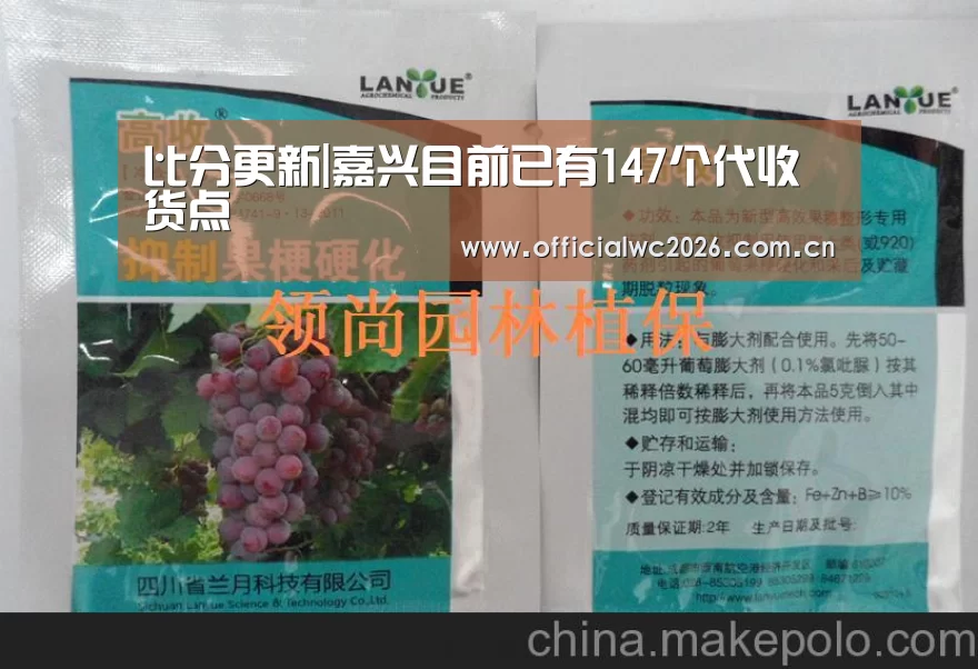 世界杯直播
