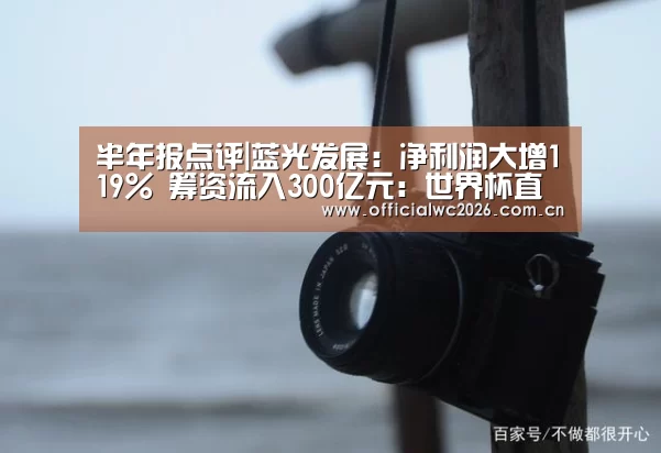 半年报点评|蓝光发展:净利润大增119% 筹资流入300亿元:世界杯直播(图1) 赛事数据