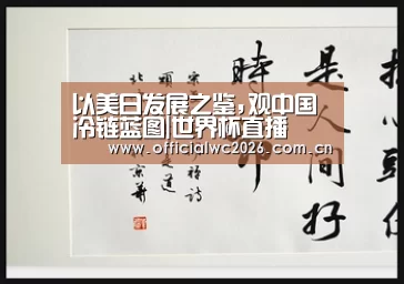 赛事数据