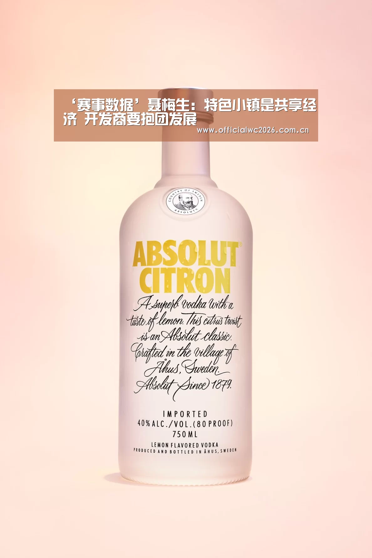 比分更新