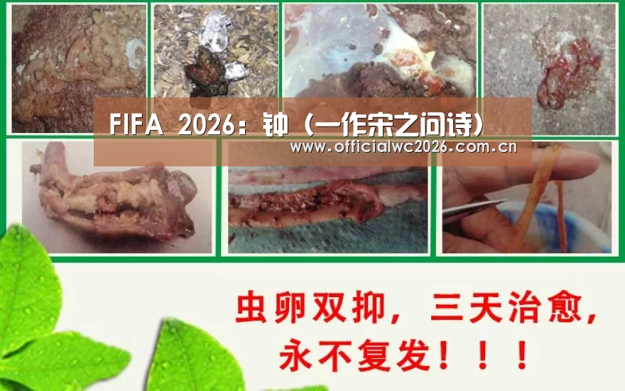 世界杯直播